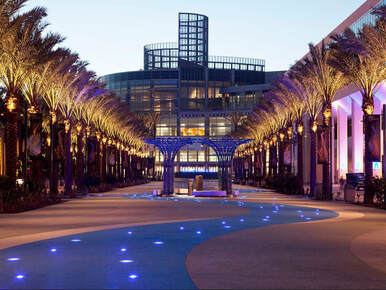 Image of a walkway lined with palm trees in Anaheim California
