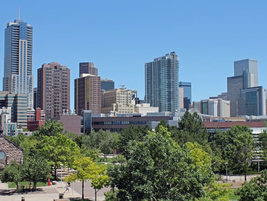 Picture of Denver's skyline with trees in the foreground